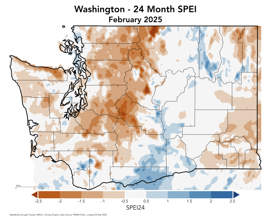 Map of Standardized Precipitation Evapotranspiration Index over the past 24 months, ending in February 2025. Water deficits are shown across much of Western Washington while surpluses are shown over most of Eastern Washington.