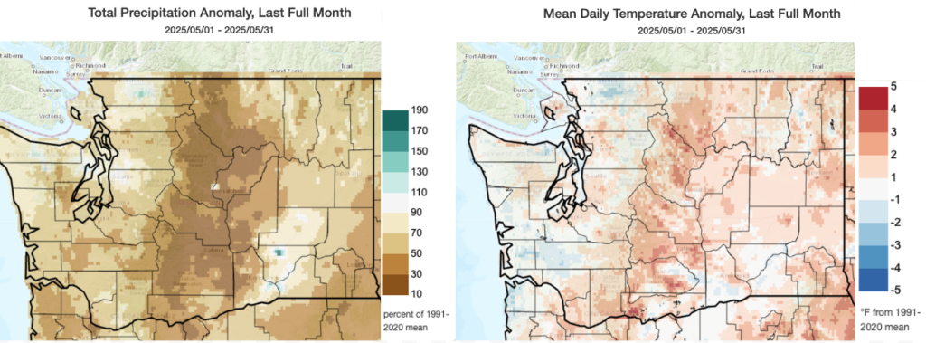 Map of May precipitation and temperature anomalies.
