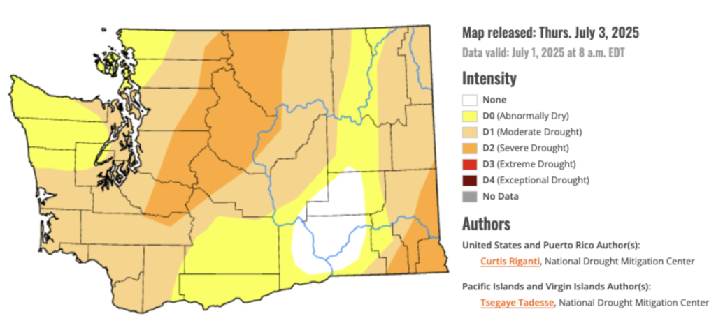 Map of Washington state drought monitor as of July 1, 2025. Abnormally dry or drier conditions exist in the vast majority of the state.